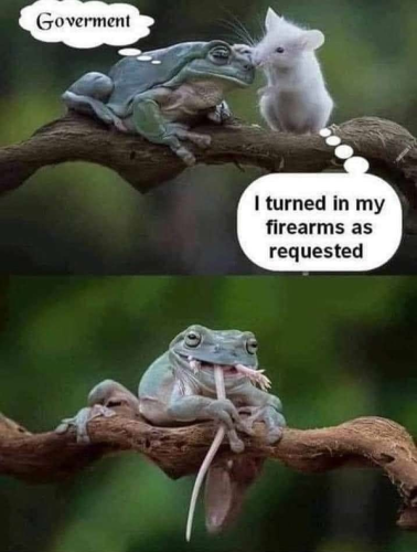 M government