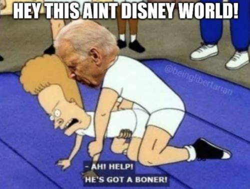 BIDENDISNEYBONERWCAP