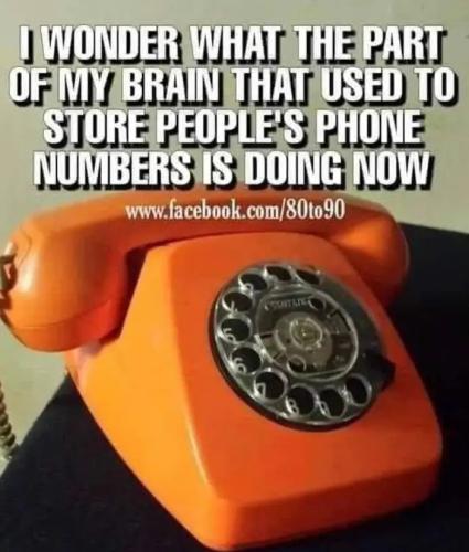 img_1_1655608214525(1)