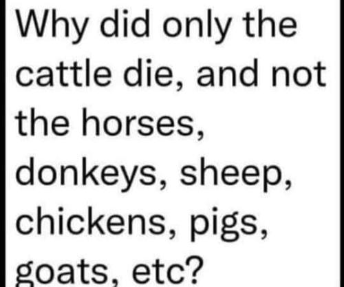 WHY