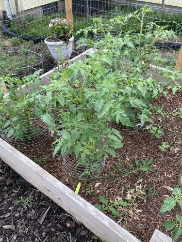 04160F4B-4D1A-40A7-8101-9C8E13578E11