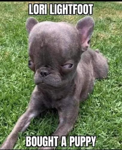 FB_IMG_1654459751229