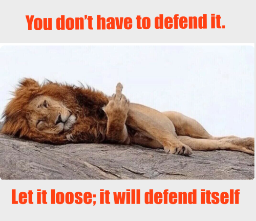 defend itself