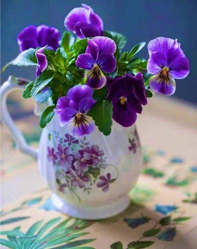 FB_IMG_1655347982214