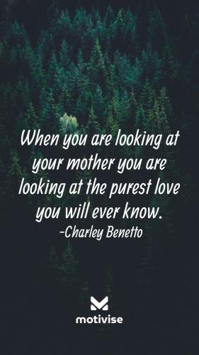 85C359C9-36D9-4E3D-8D51-9B50FF1365A3