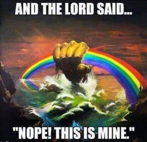 FB_IMG_1655003421978