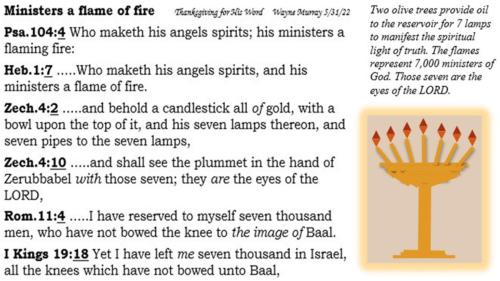 MinistersAFlameOfFire