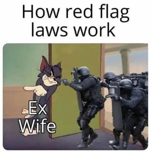 Red Flag Laws