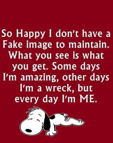 286933675_1249748328893423_3228524066650620442_n