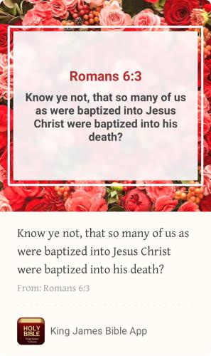 0BE96ABA-259A-478D-8317-BEB22D708676