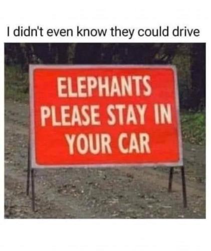 1FF1D432-66EB-4533-BBD5-BAFBD6ECF752