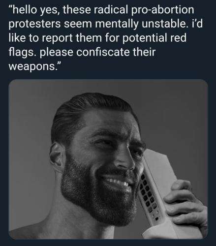 protestors red flag