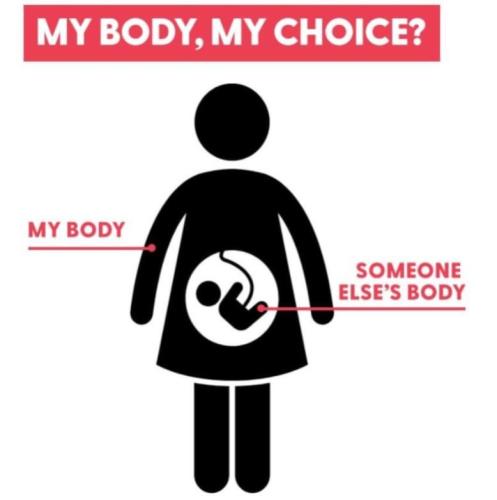 5788BDE0-FD4F-44F5-9F2D-383C4D53DDA0