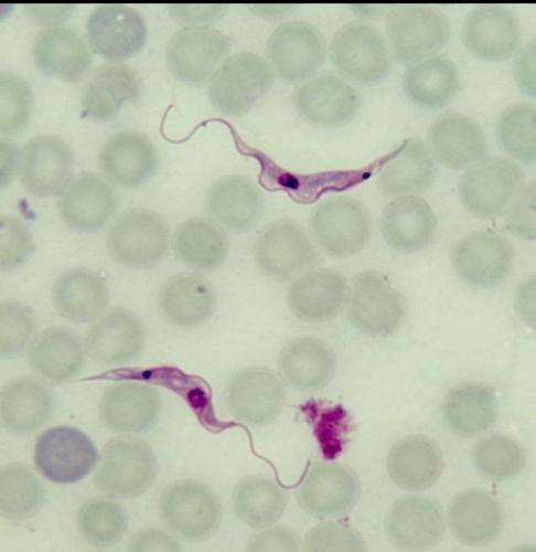 photo_2022-06-19_06-37-36