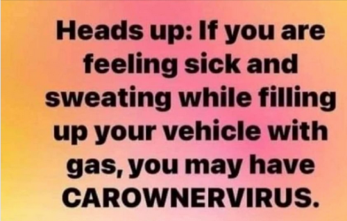 Carownervirus