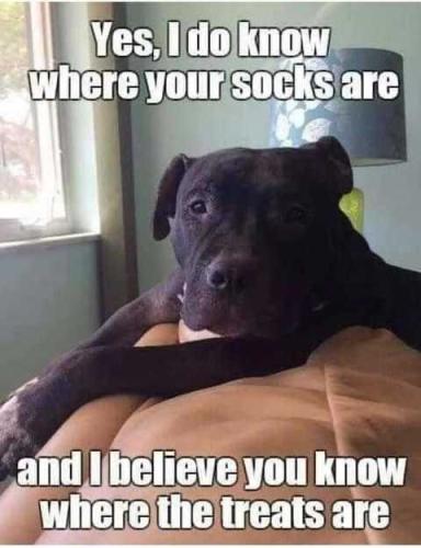 OODQLSEZ3UfJ3gXmYgIx_28_a44e6df40a072da464d059f434b2e889_image