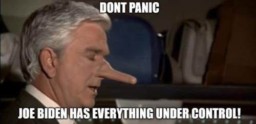 bidendontpanicwcap