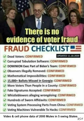 no fraud