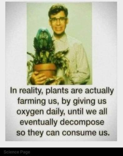 plants are farming us
