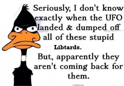 fae8dda6-3d5a-4341-afc5-0583eb008e54