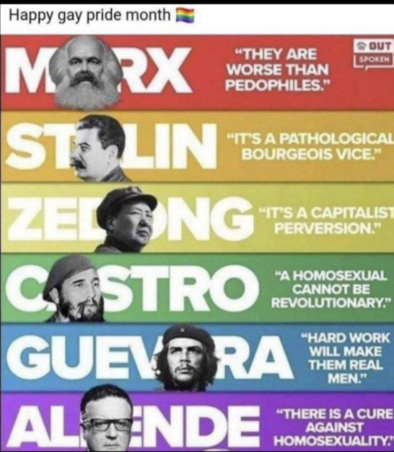 homosexuals of the left