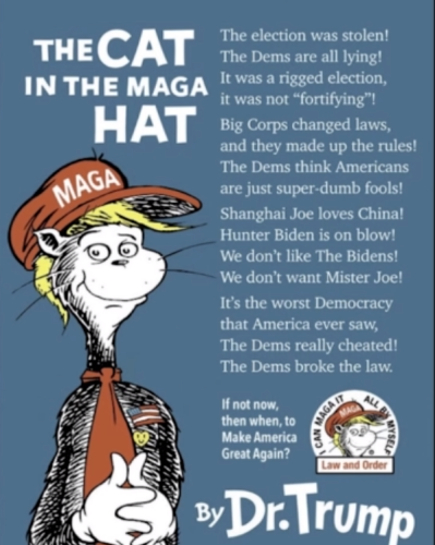 Cat In The MAGA Hat