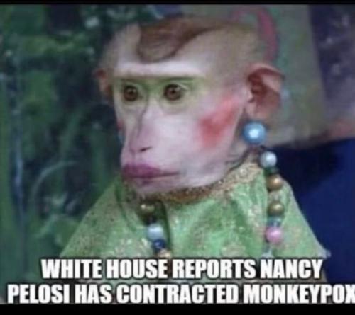 pelosi pox