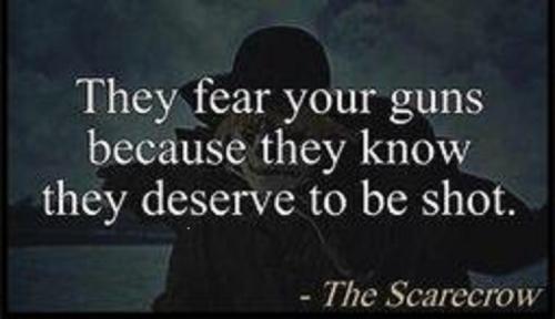 They fear your guns