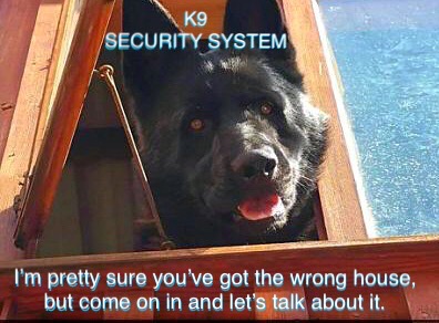 855CF56D-33EC-4850-9CAC-0620D98B6D36