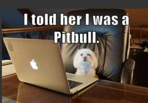 y19Nsq1rACuLOkcDZlBH_23_88347214dc56b1af3dcaabbdc2f26f03_image