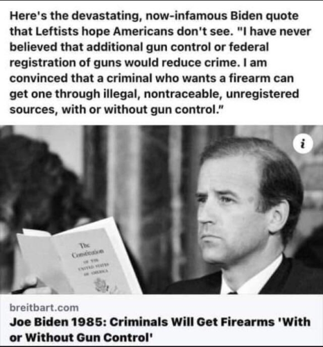 joe biden guns