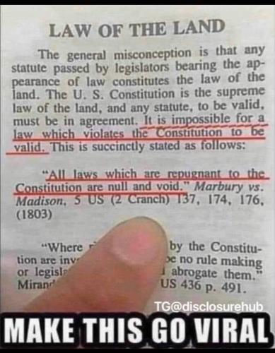 187790272_114516967473562_8601939968540559379_n