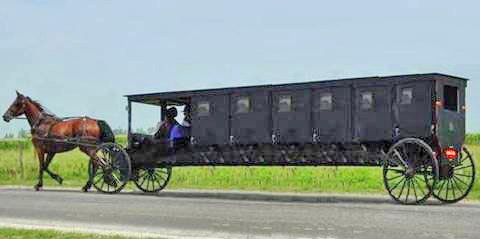Amish Limo