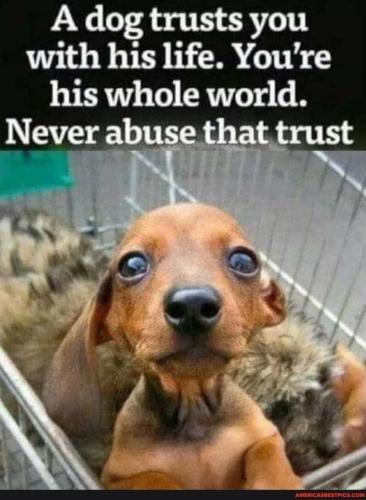 Dog Trust
