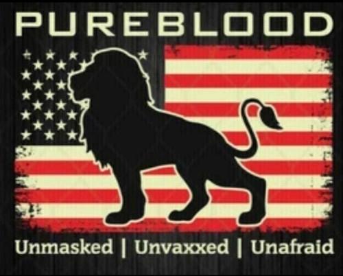 Screenshot_20220623-195405_Telegram