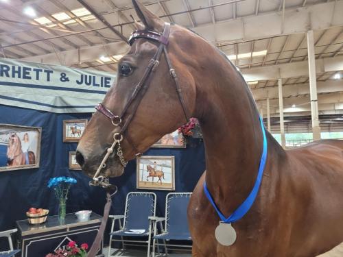 Resized_20220615_191654