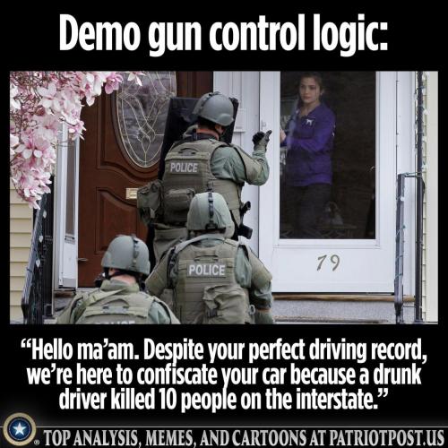 gun control logic 1