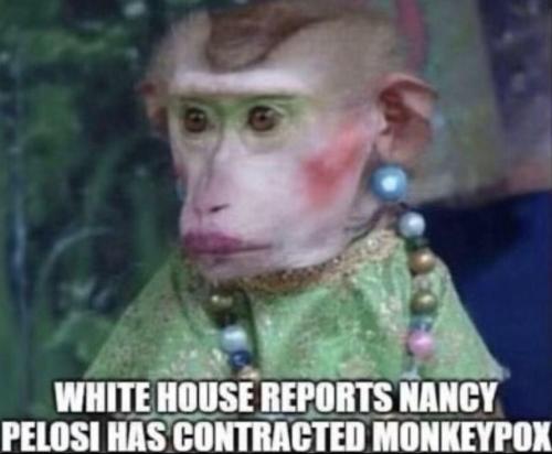 688569e3-4cce-4257-9836-27f7b9daf7de(1)