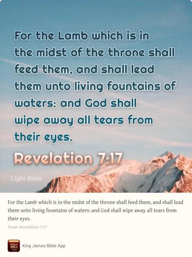 80620345-B51B-4C3F-904E-C1438FAC3003