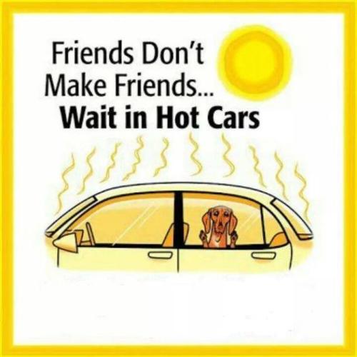 friends dont make friends wait in a hot car