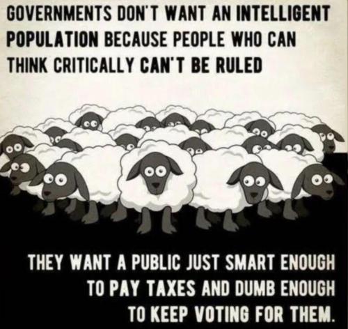 M Government want