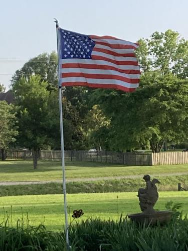 2DFB43BC-93ED-43AD-84AD-52732766223F