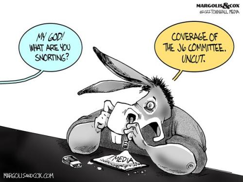 MC_Snort_web20220610121513