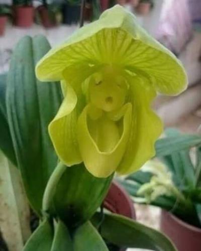 FB_IMG_1656168537944