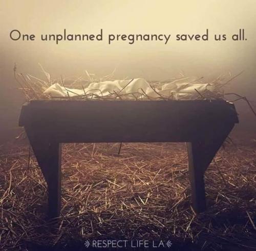 FB_IMG_1656380566594