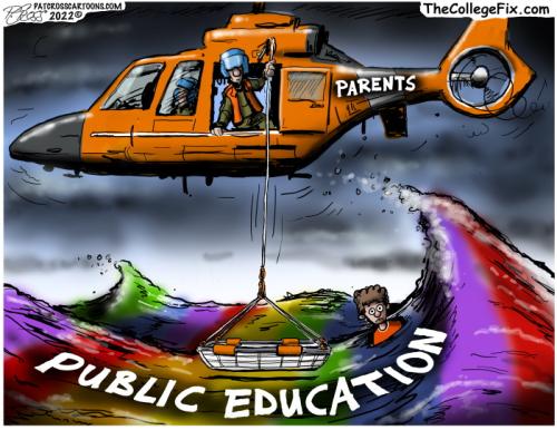Public Education