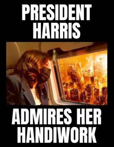 president-kamala-harris-admires-riots-handiwork