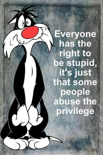 FB_IMG_1656280649178