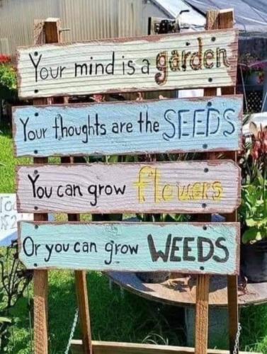 E75668DD-2F9B-470A-918A-F7514CB6ECF0