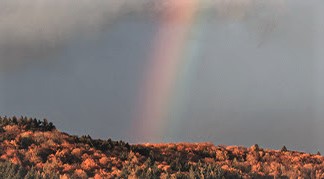 060622 - Spotting Rainbows of Hope